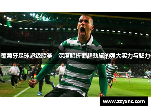 葡萄牙足球超级联赛：深度解析葡超劲旅的强大实力与魅力
